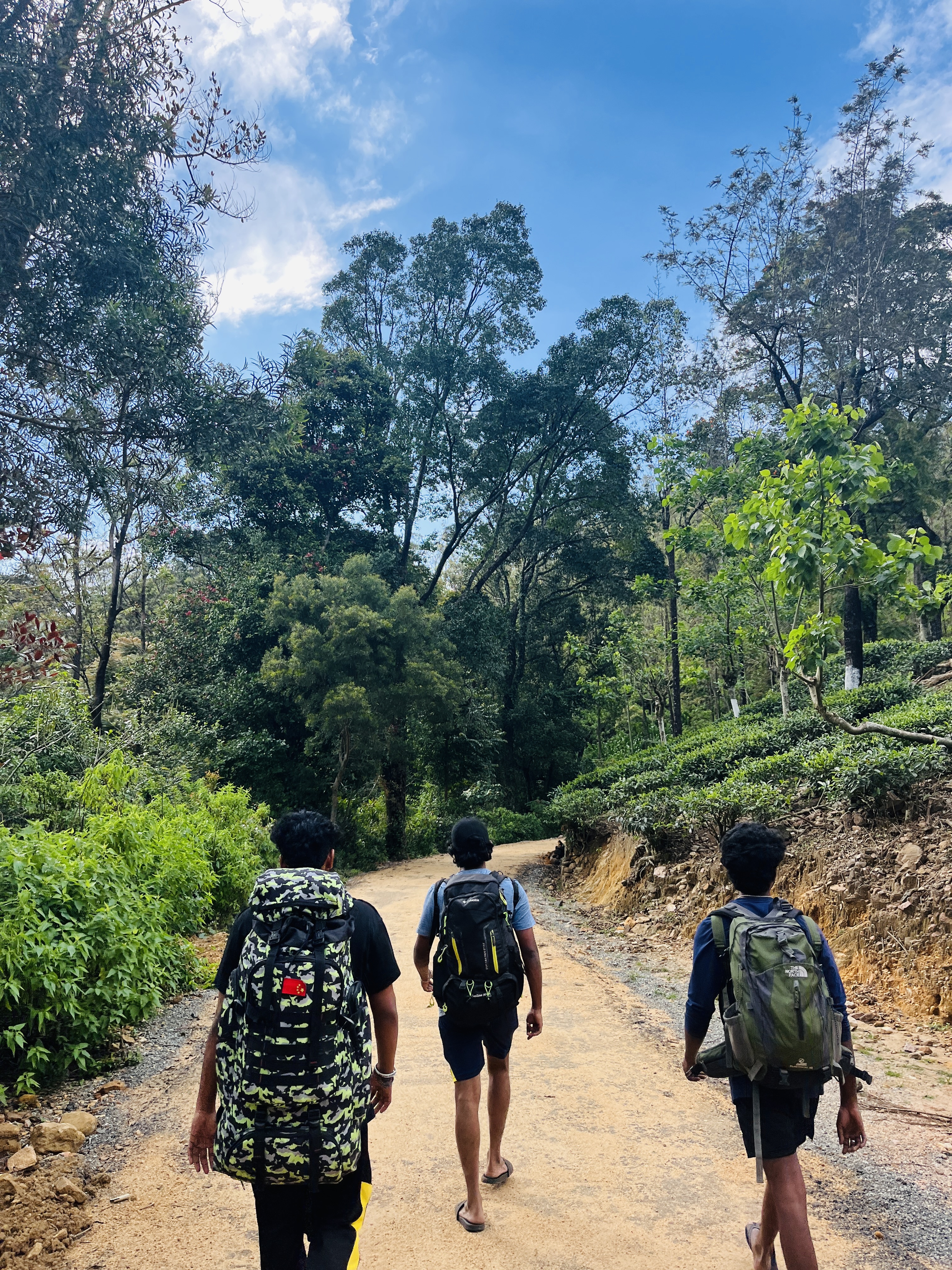 Queen Mountain Journey